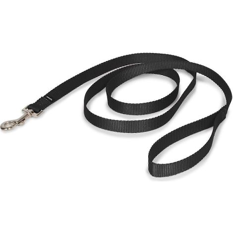 Laisse traditionnelle robuste de 25 à 26 pouces pour chiens de petite, moyenne et grande taille, 3/4 po x 6 pi (1/4)