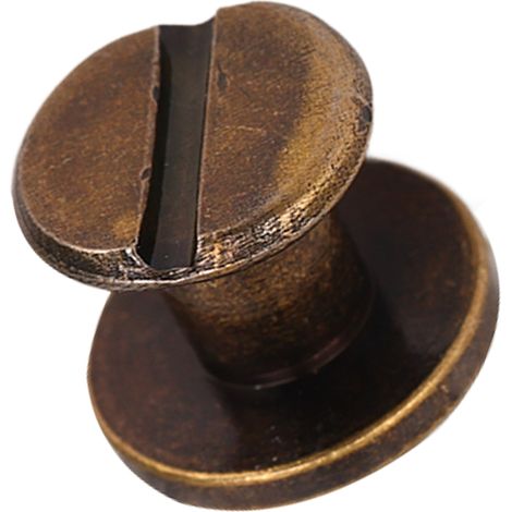 Kit de 200 Rivets en Cuivre 9x6.5mm pour Travail du Cuir DIY, Finition Électrolytique Homogène (1/5)