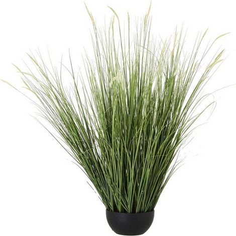 Large Onion Grass Plant in Pot - Plastic - L24 x W24 x H120 cm - Green