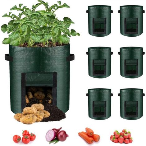 Set of 6 green growing bags (30 x 35 cm) for potatoes with hinged window and handle for vegetables (1/5)