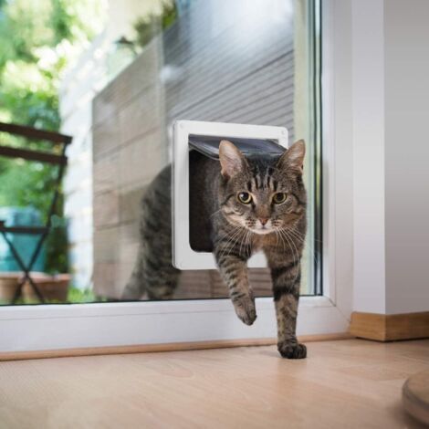 Chatière pour Chat avec magnétique à 4 voies, porte pour animaux de compagnie pour chats et petits chiens, porte pour chat avec tunnel Blanc 19 x 19 x 5.5 cm