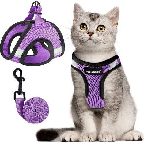 Harnais pour chat avec laisse - Ensemble de promenade confortable et respirant pour chaton et chat adulte - Réglable et sécurisé avec bandes réfléchissantes (1/5)