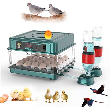 Couveuse Oeuf Automatique 12 Oeufs,Retournement Automatique des œufs,Incubateur Oeuf Automatique,Contrôle de Température et Humidité,Appareil Incubateur de Ferme,pour Éclosion de Poulet,Canards,Caille (1/5)