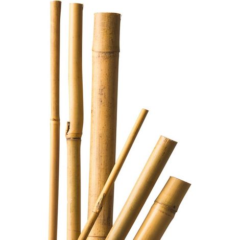 Lot de 5 tuteurs en bambou naturel H120 cm Ø10-12 mm – Support pour plantes grimpantes – Installation facile et stable – Biotop (1/4)