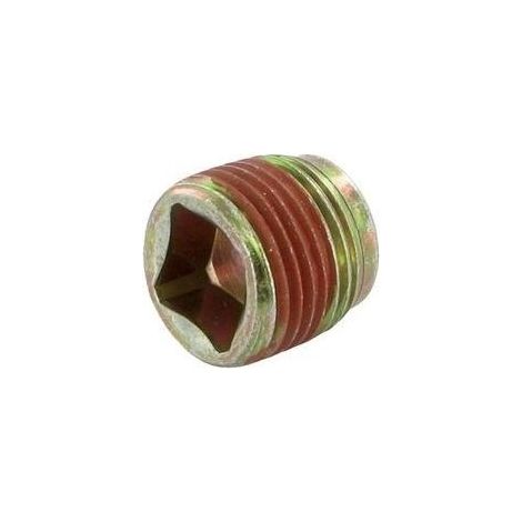 691680 – Bouchon de vidange moteur pour tondeuse – Compatible Briggs & Stratton – Assure drainage huile optimal (1/2)
