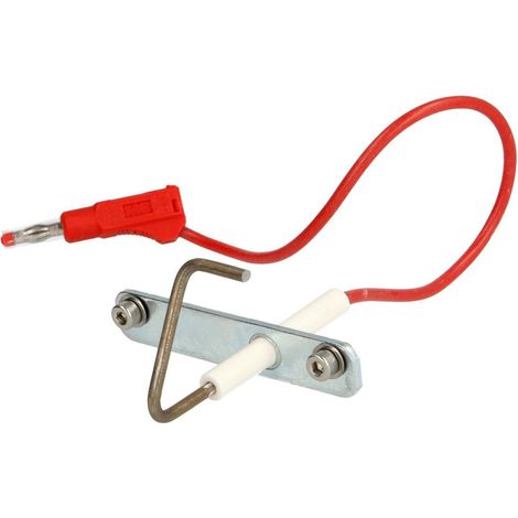 Électrode d'ionisation PWK 18