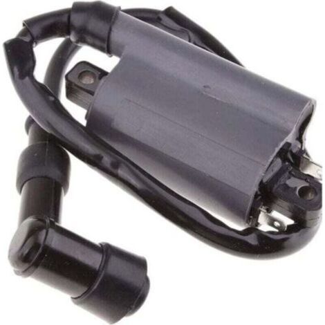 Bobine d'allumage pour Buyang , XU,260 260cc 300cc D300 G300 Motor, produit qualité supérieure, durable et fiable, matériaux sélectionnés, conforme normes, easy à utiliser - (1/4)