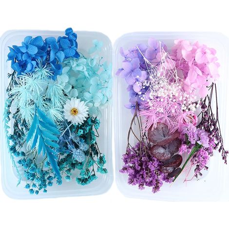 Flores secas, juego de 2 flores secas naturales, flores secas para decoración del hogar y manualidades, flores secas pequeñas para decoración con resina epoxi. (1/5)