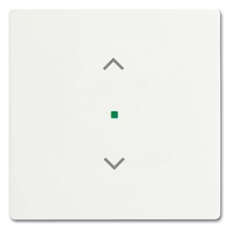 Enjoliveur 1 Touche 1 Led 1 Picto Store Futur Blanc Mat 2CKA006220A0603 ABB BJE520436