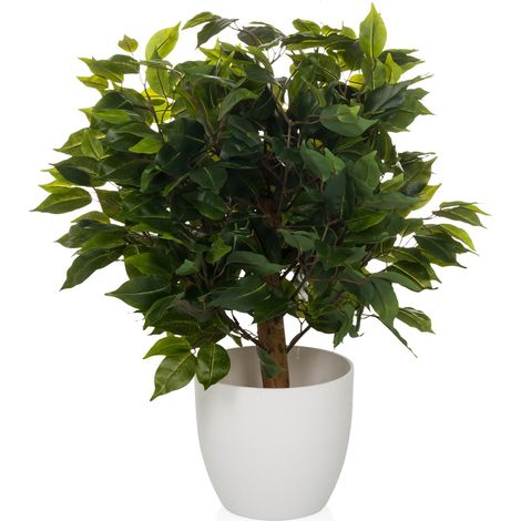 Kunstpflanze / Kunstbaum FICUS II 65 cm grün hjh OFFICE (1/5)