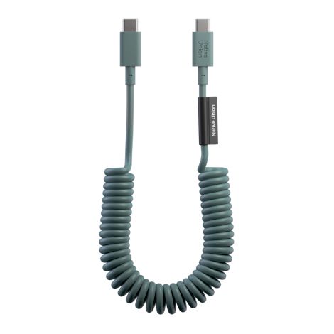 Cable USB-C Native Union Pop - Cable USB-C, 1,2 m, 60 W (verde pizarra)