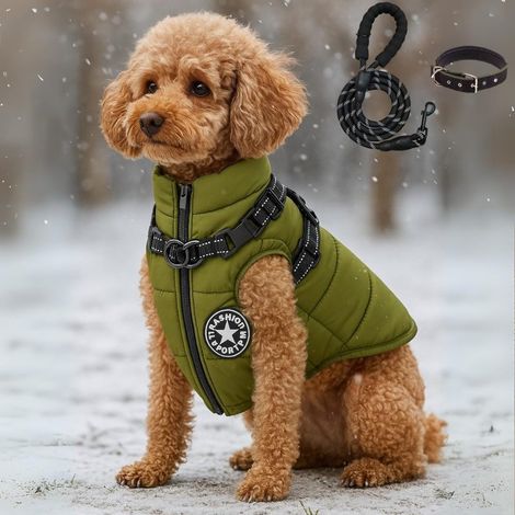 3-in-1 Winterjacke, wasserdicht, winddicht, warm, mit integriertem Tragegurt, Reißverschluss (grün, extra groß)