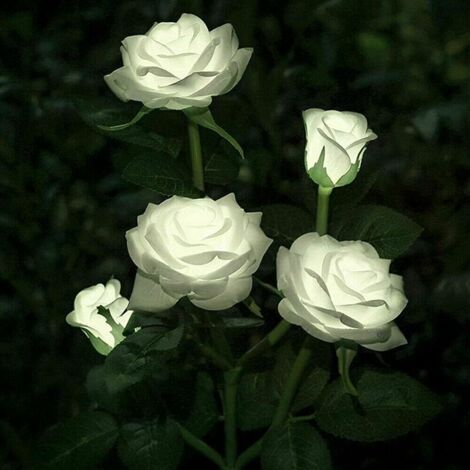 Lampes solaires à LED en forme de roses artificielles pour extérieur, décoration de jardin, cour, patio, tombe, cimetière, balcon, décoration de Noël – Blanc (1/5)