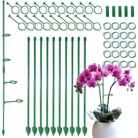 Lot de 10 Tuteurs Plantes 30cm, Support de Croissance avec Anneaux Étendus, Piquets Modulaires Empilables pour Orchidées, Tomates et Fleurs, Kit Complet avec Clips et Raccords (1/5)