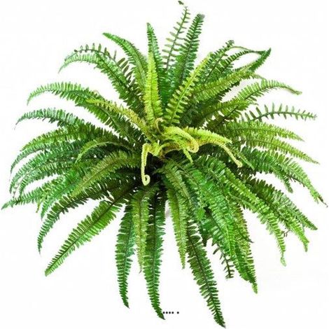 Fougère des forêts 57 feuilles D 70 cm artificielle en piquet - dimhaut: H 70 cm - couleur: Vert