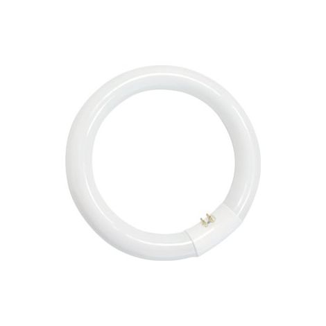GSC – Tube fluorescent circulaire 32W T9 6400K – Éclairage shadowless – Performance optimale en lumens par watt – Réduction de la consommation