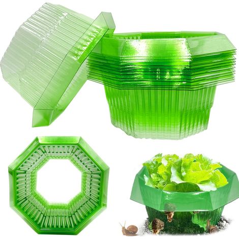 Collari Antilumaca Trasparenti 30 Pezzi Ø 24 cm Riutilizzabili (1/5)