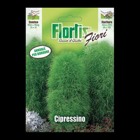 Semi di Cipressino (1/2)
