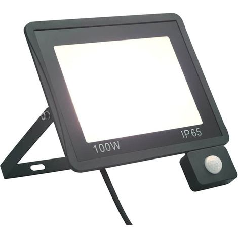 vidaXL Projecteur à LED avec capteur 100 W Blanc froid - vidaXL Projecteur à LED avec capteur 100 W Blanc froid (1/5)
