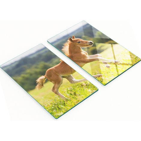 Tablas de cortar de cristal para cocina con estampado de potro al galope, 2 x 30 x 52 cm. (1/5)