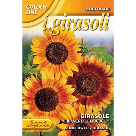 BUSTINA CON SEMI DI GIRASOLE ORNAMENTALE MISCUGLIO (1/2)