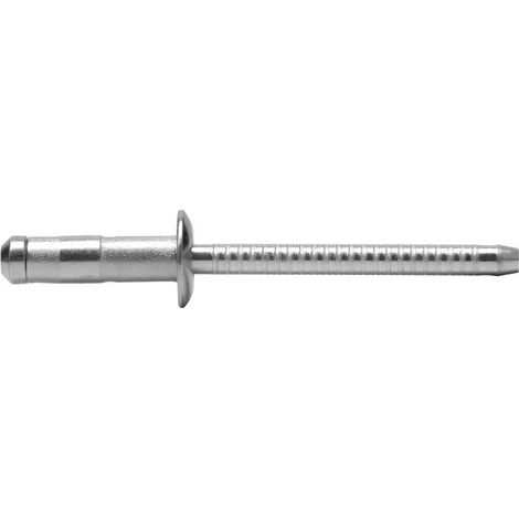 500 Rivets Aveugles Haute Résistance Tête Ronde GOMUST 4.8 x 12 mm - Acier - D-Work
