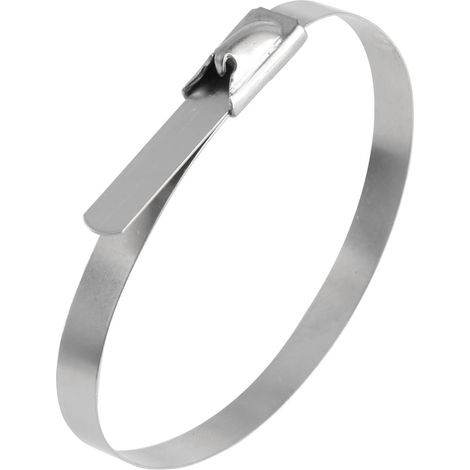 Kabelbinder aus Edelstahl mit Edelstahlzunge VPE 1 Stück Maße L/B/H 125,0mm x 4,6mm, Farbe silber - 1 Stück (1/2)