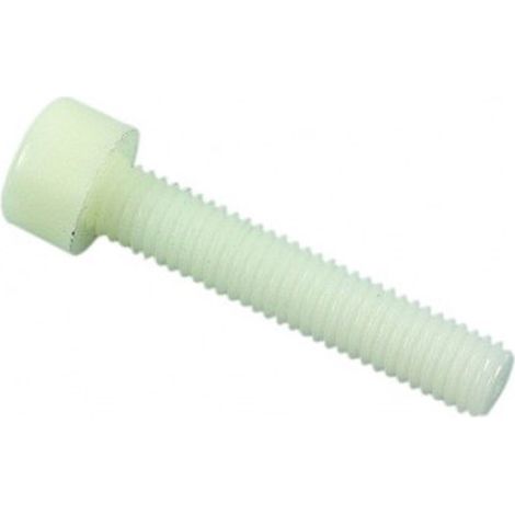 Vis tête cylindrique six pans creux (CHC) DIN 912 PA 6,6 naturel - 6 x 10 mm - BIVI (1/2)