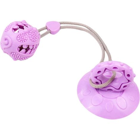 chien ventouse dentition jouet – distributeur de friandises TPR macher balle – pour petits et moyens chiens – Violet (1/5)