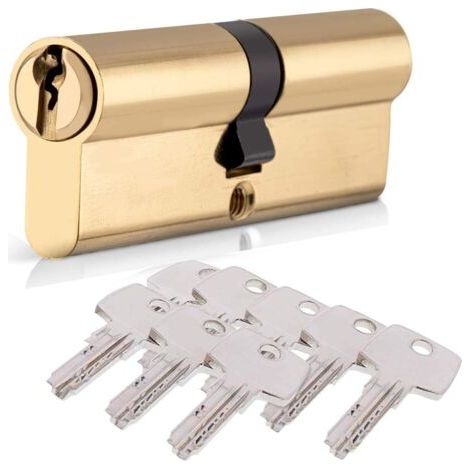 Cylindre de Serrure 40/40 (80mm), HOMEK Serrure à Doublé Cylindre Porte Cylindre Européen avec 8 Clés, Finition en Laiton, Serrure de Porte Antichoc Anti-Perçage Anti-Pique (1/5)