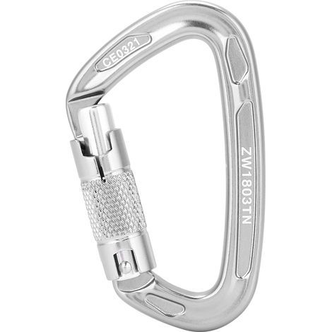 25 kN Sicherheitskarabiner mit D-Ring und Verriegelung, Ausrüstung für Kletter- und Rettungseinsätze im Freien, grauer Karabiner (1/5)