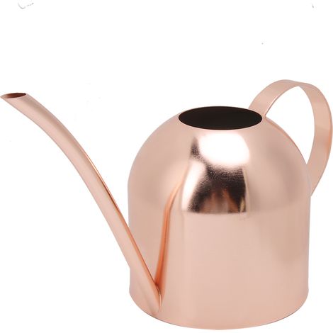 Arrosoir en acier inoxydable de 1000 ml, pot à large ouverture, pour fleurs et plantes de jardin. (1/5)