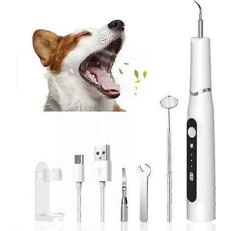 Brosse à dents ultrasonique pour chiens et chats : élimine le tartre et préserve la santé dentaire de votre animal. (1/5)