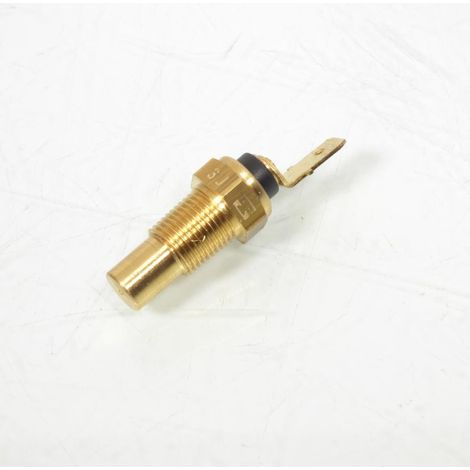 Sonde de température Thomson pour Auto Neuf