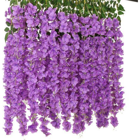 Fleurs artificielles　Lot de 24 Artificielle Fleurs Faux Wisteria Vigne Soie Fleur Suspendue Guirlande pour la Maison Jardin Partie De Mariage Décor Simulation Fleur (Lot de 24, 110cm, Violet) (1/2)