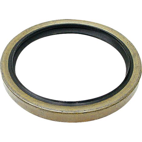 Paraolio 110x135x13 FIAT NH 40002811