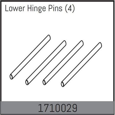 Lower Hinge Pins