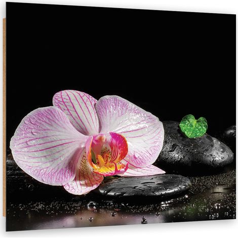 Quadro deco panel, Uno zen in fiore di orchidea - 60x60 (1/5)