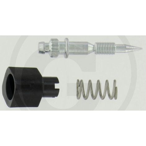 Kit spillo carburatore ORIGINALE BRIGGS & STRATTON 793610