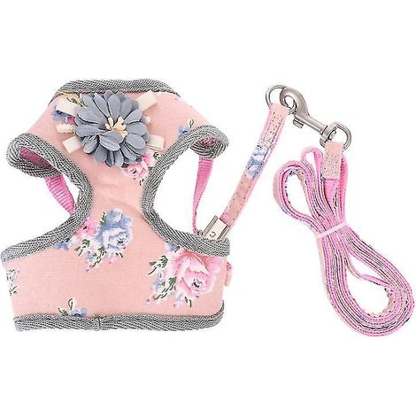1 ensemble harnais et laisse pour chiot (1/3)