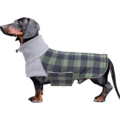 Manteau Chien Hiver pour Teckel Imperméable Pull Chien Réglables Manteau Teckel Col Montant Doublure Chaude Veste pour Petit Chiot Teckel Vert S (1/3)
