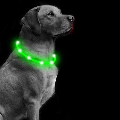 1 Led Collier Lumineux Chien Rechargeable Et Longueur Ajustable, Collier Chien Lumineux Avec 3 Modes D'clairage , Impermable Collier Lumineux Pour (1/5)