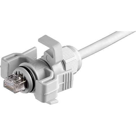 Jeu de RJ45 mâles Variante 6 Telegärtner 100023013 RJ45 mâle, droit Pôle: 8P8C gris clair 1 pc(s) (1/3)