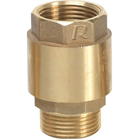 1 Clapet Anti-Retour, Laiton, Entrée Mâle Sortie Femelle 1 Pouce, Pour Pompe Immergée (1/3)