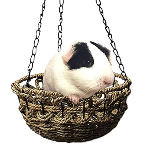 Lit à suspendre pour cochon d'Inde, rat, hamster, herbe ou petit animal - Accessoire pour chinchilla, balançoire, jouets pour jouer et dormir (1/5)