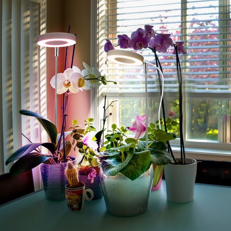 Anneau lumineux pour plantes avec lampe USB et minuterie pour simuler la lumière du soleil à spectre complet (1/5)