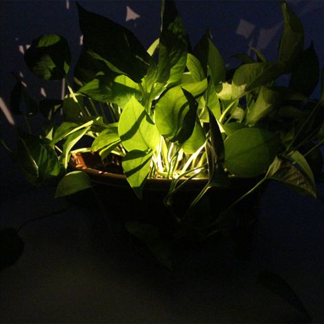 Lampe solaire à LED pour pot de fleur, éclairage décoratif étanche IP44 jardin terrasse intérieur extérieur, panneau cristallin 2V, batterie Ni-MH 1.2V, 21x6x3 cm, 1 pièce (1/3)