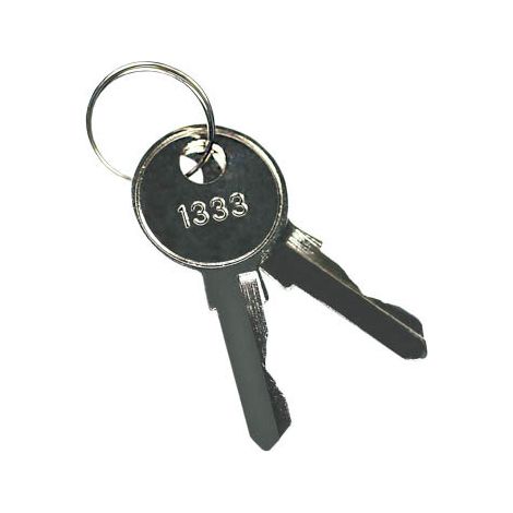Clave de patente 1333 CLAVE-1333