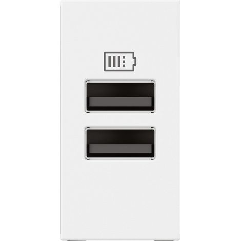 Chargeur 2 USB Type-A Mosaic 2 modules blanc pour support LCM LEGRAND 077660L (1/3)