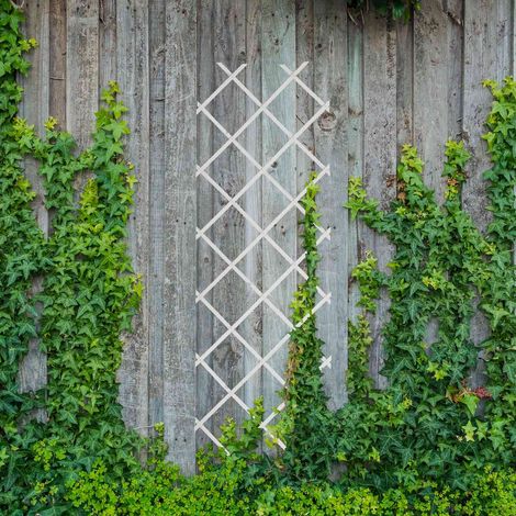 Ensemble de treillis extensibles pour plantes 180 x 60 cm lot de 3 210322073